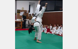 Demonstration de Judo