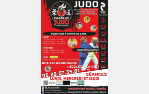 Affiche judo spécifique Trans-en-Provence