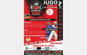 Affiche judo spécifique Dracénie