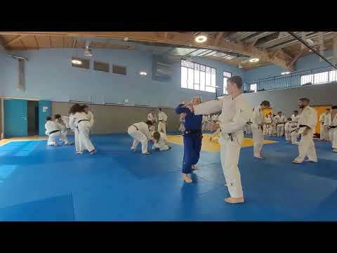 3 - Teaser du Stage International de Judo