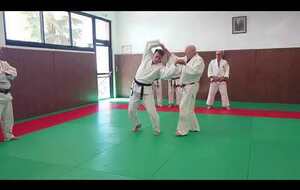 Ju no Kata par Serge Oudard & Michel Aira