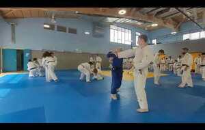 3 - Teaser du Stage International de Judo