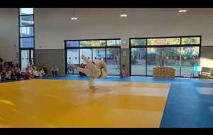 Démonstration de Judo