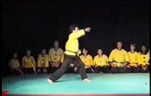13   Ecole Hoang Nam & Hoang Nghi Kung fu