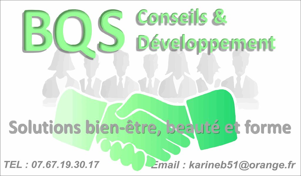 BQS Conseils & Développement