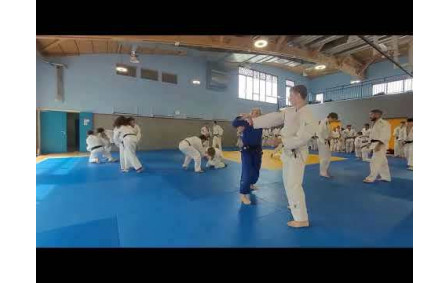 3 - Teaser du Stage International de Judo