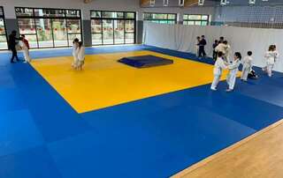 Stage Judo 3 - 14 ans