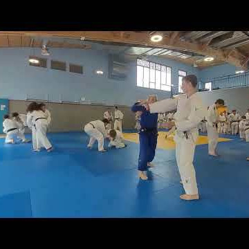3 - Teaser du Stage International de Judo