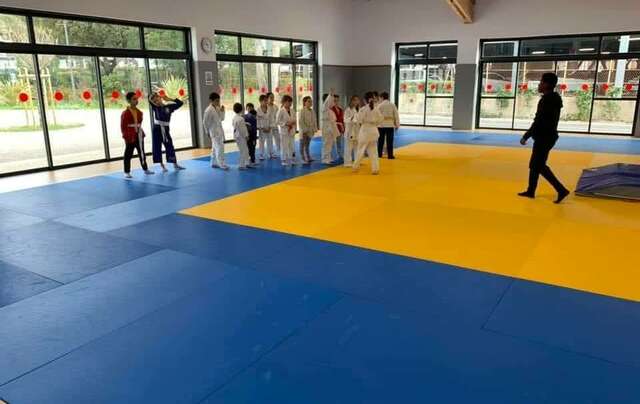 Stage Judo 3 - 14 ans